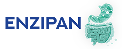 ENZIPAN
